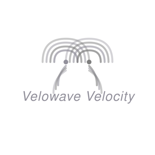 Логотип Velowave Velocity